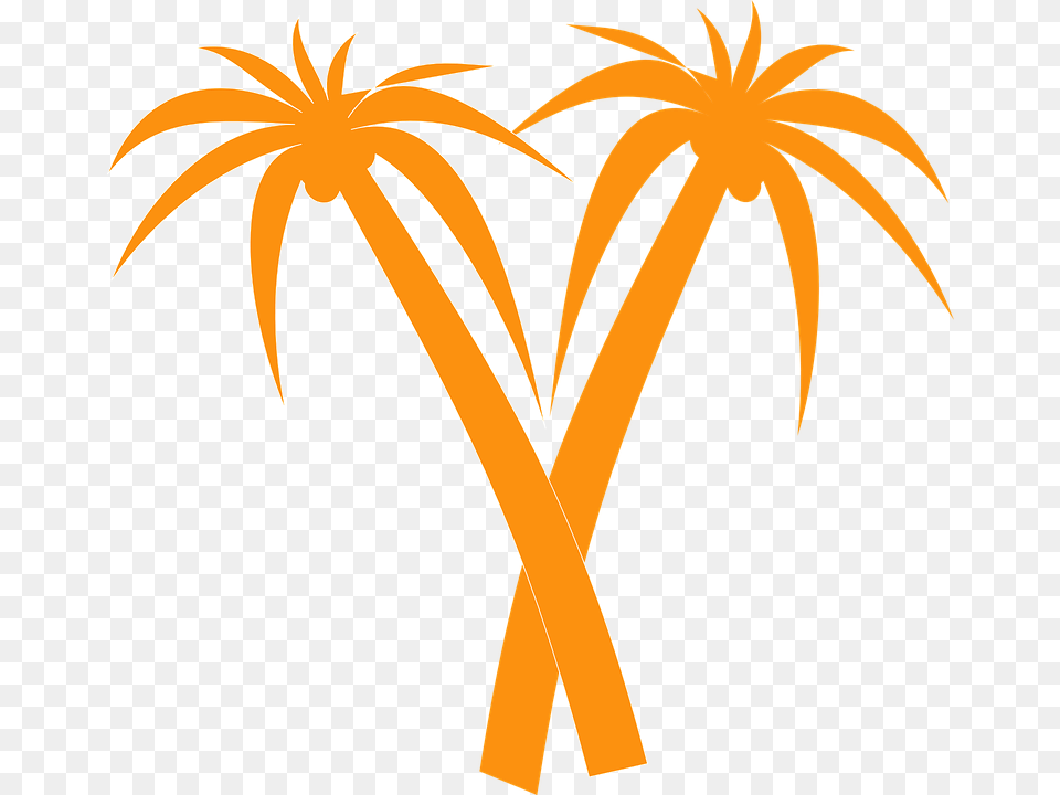 V Shaped Palm Tree, Palm Tree, Plant, Flower, Animal Png Image