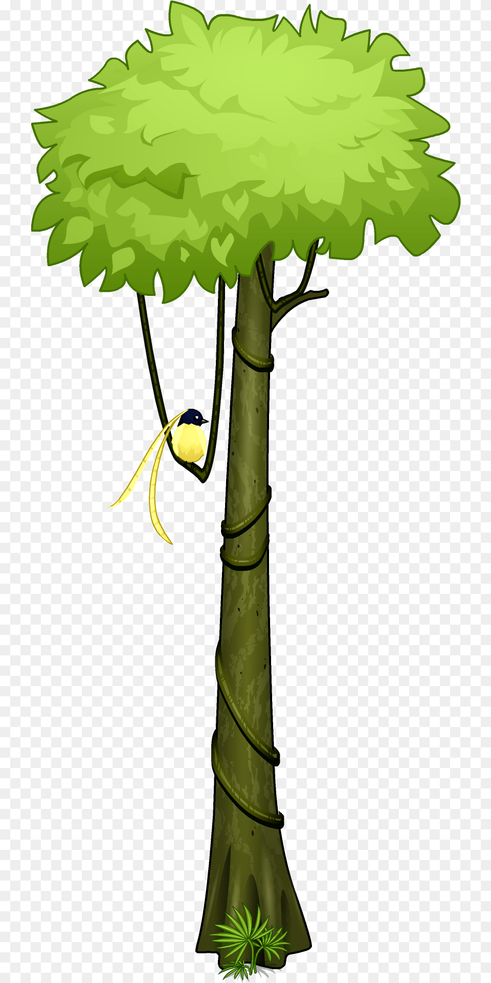 V Tropical Rainforest Trees Drawing, Green, Plant, Tree, Vegetation Png Image