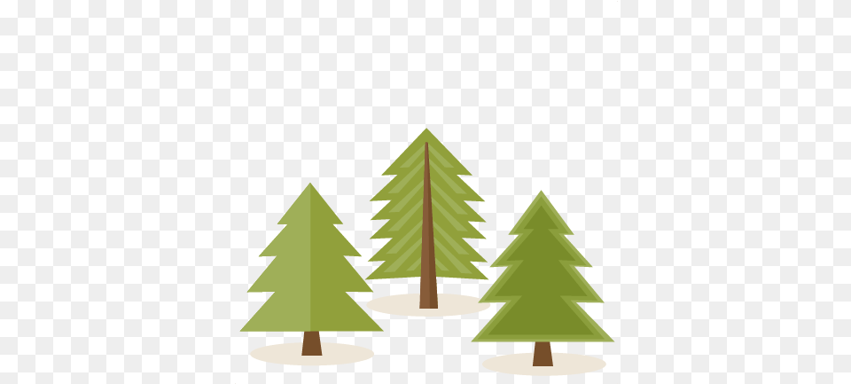 V24 Picture Mc 27 Pine Forest Vector Pine Tree, Fir, Green, Plant Free Transparent Png