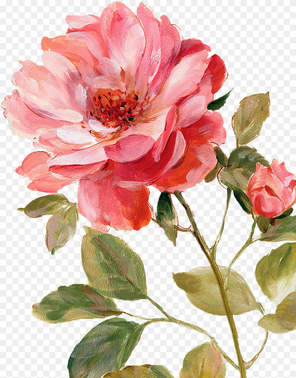 V25 Picture Painted Flowers Ew 65 Lisa Audit Painting, Flower, Plant, Geranium, Petal Free Png Download