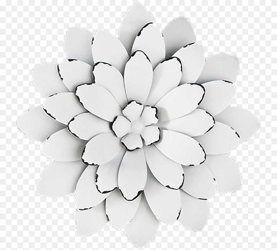 V79 3d White Flowers 6917x2467 P Widescreen Badshahi Mosque, Dahlia, Daisy, Flower, Plant Png Image