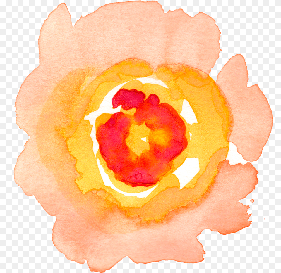 V95 Background Rec Mob Orange In Water Flowers, Flower, Petal, Plant, Rose Free Png