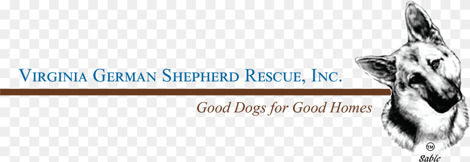 Va German Shepherd Rescue, Animal, Canine, Dog, German Shepherd Png Image