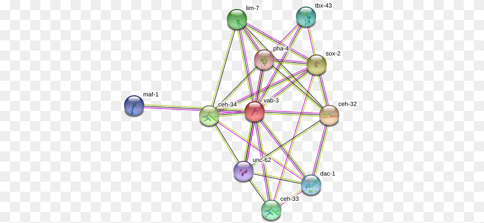 Vab 3 Protein Circle, Network, Ball, Sport, Baseball (ball) Png Image