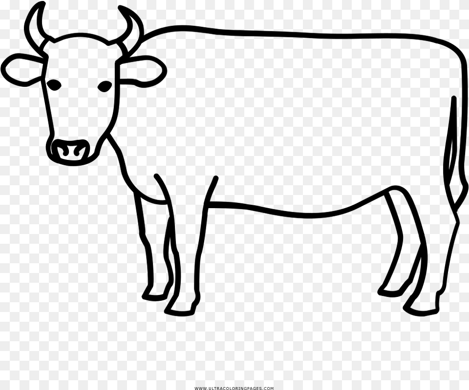 Vaca Desenho Ultra Coloring Pages, Gray Png