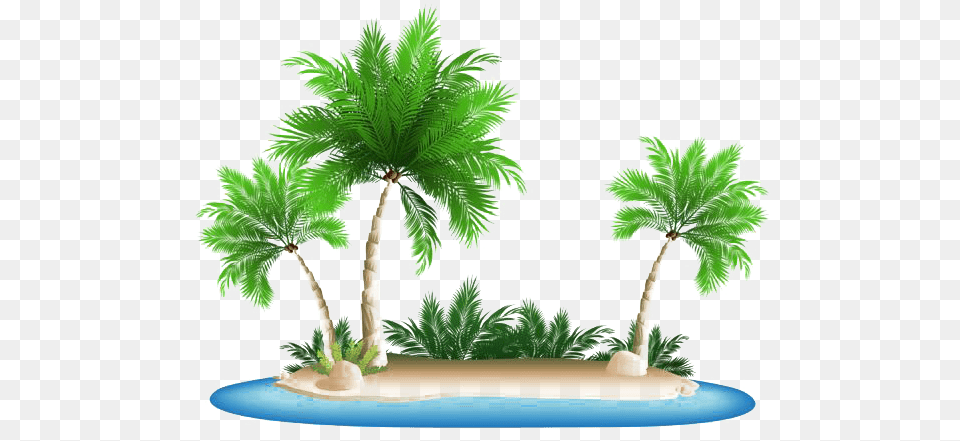Vacation Beach Background Beach Palm Trees, Palm Tree, Plant, Tree, Vegetation Png Image