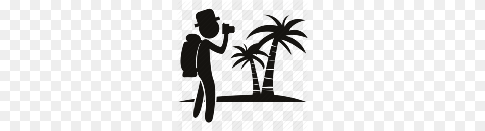 Vacation Clipart, Palm Tree, Photography, Plant, Tree Png Image