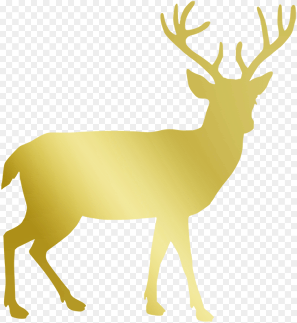 Vacation Gold Deer Stag Reindeer Christmas Deer Silhouette, Animal, Mammal, Wildlife, Elk Free Transparent Png