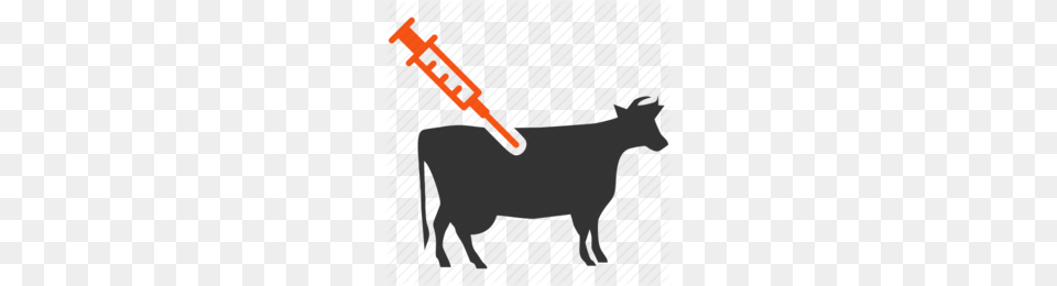 Vaccine Clipart, Animal, Livestock, Mammal, Cattle Free Png