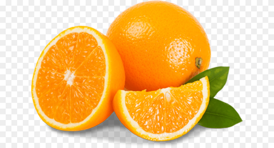 Valencia Oranges, Citrus Fruit, Food, Fruit, Orange Free Png