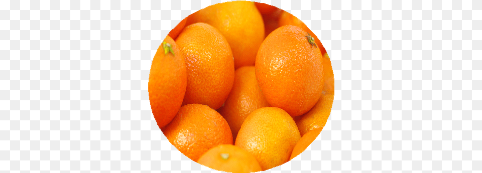 Valencia Oranges Mandarin Orange, Citrus Fruit, Food, Fruit, Grapefruit Png