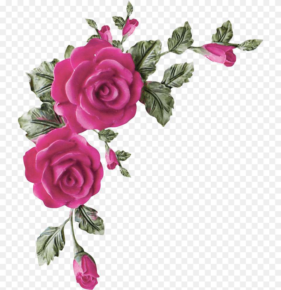 Valentina Touchofroses El76 Pink Rose Corner Border Design, Plant, Flower, Pattern, Graphics Png
