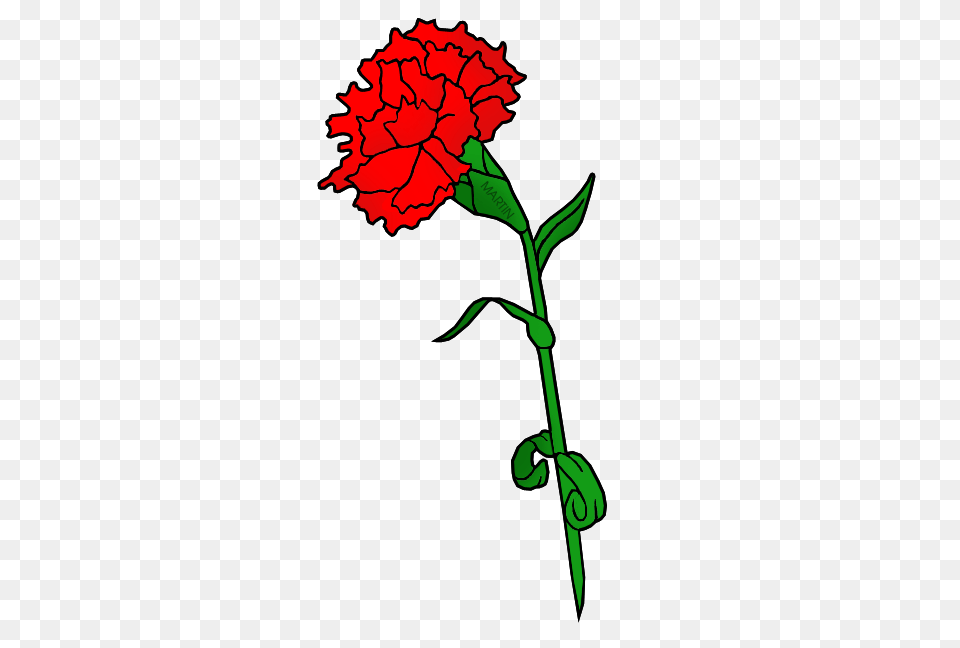 Valentine Clip Art, Carnation, Flower, Plant, Person Free Png