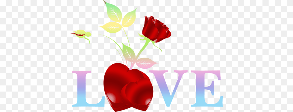 Valentine Clipart Love Ginger Album, Flower, Plant, Rose, Petal Free Png Download
