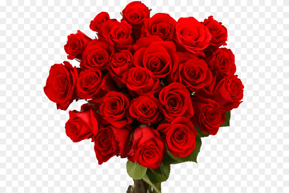 Valentine Day Flower Download Image Red Flower Bouquet, Flower Arrangement, Flower Bouquet, Plant, Rose Free Png