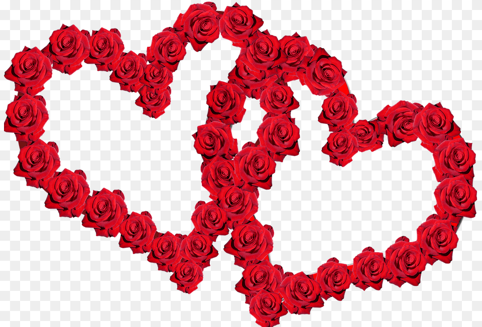 Valentine Red Roses Heart De Rosas, Flower, Plant, Rose, Pattern Free Png Download