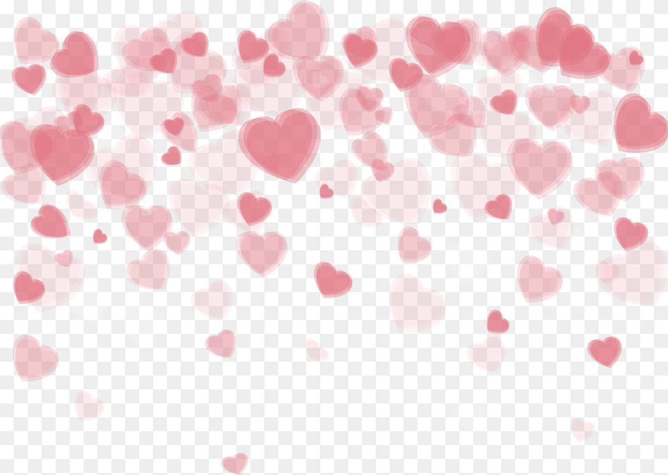 Valentine S Day Background Image Valentines Day Background, Flower, Petal, Plant, Paper Free Png