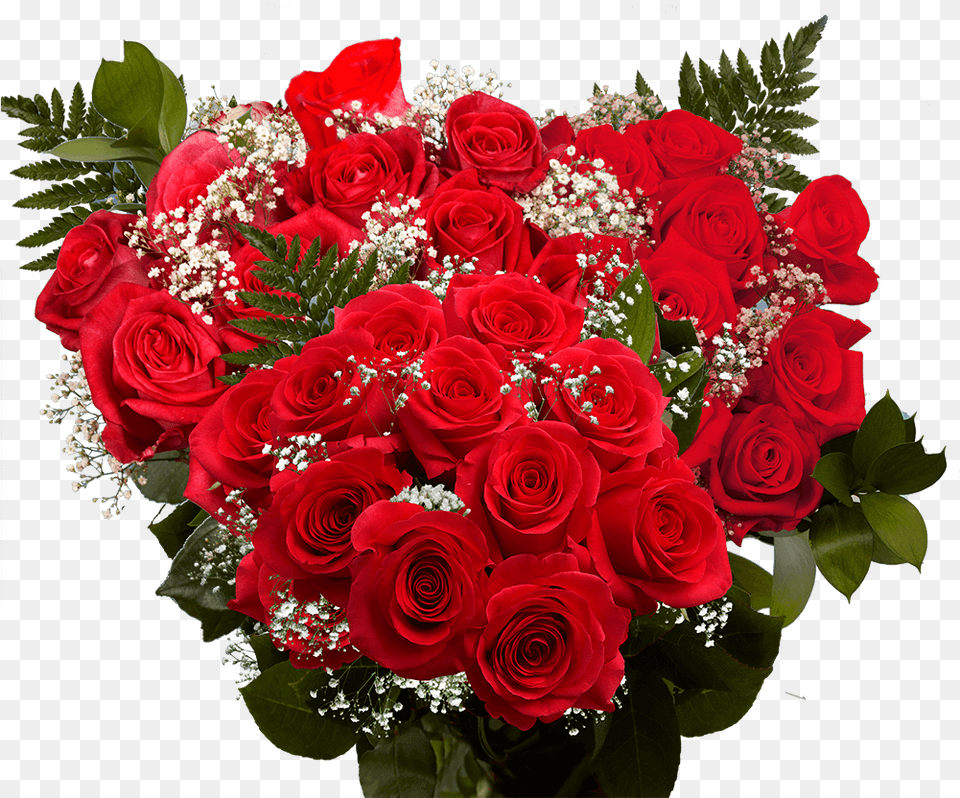 Valentine S Day Dozen Red Roses Floribunda, Flower, Flower Arrangement, Flower Bouquet, Plant Png