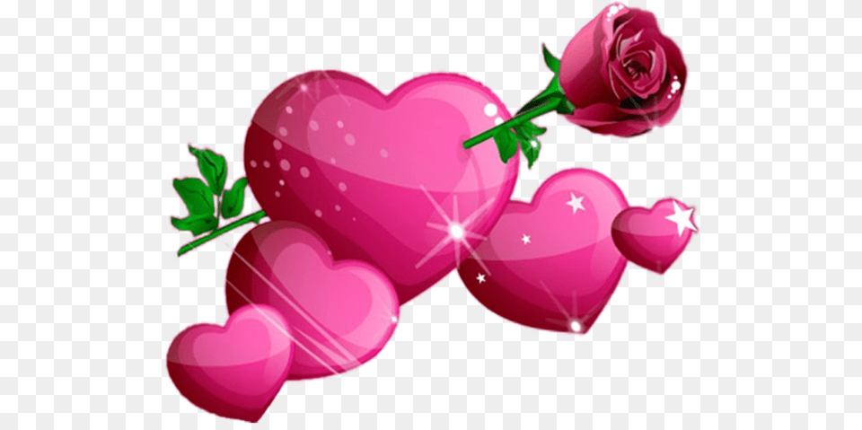 Valentines Amor Corazones, Flower, Plant, Rose, Petal Free Png Download