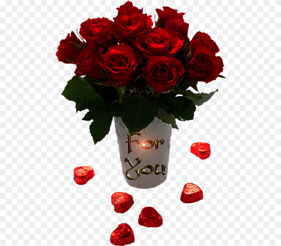 Valentines Day Flower Gif, Flower Arrangement, Flower Bouquet, Plant, Rose Png