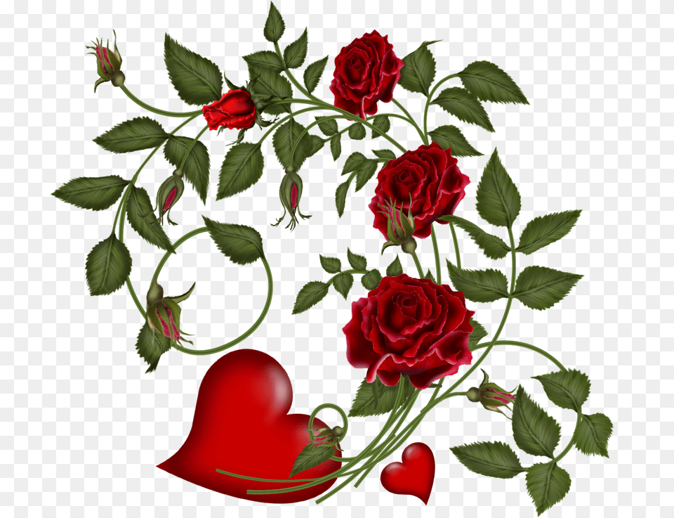 Valentines Day Flowers Vector, Flower, Plant, Rose, Art Free Png Download