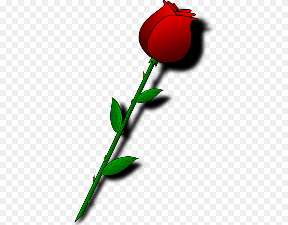 Valentines Day Garden Roses Flower Bouquet, Plant, Rose, Petal Free Transparent Png