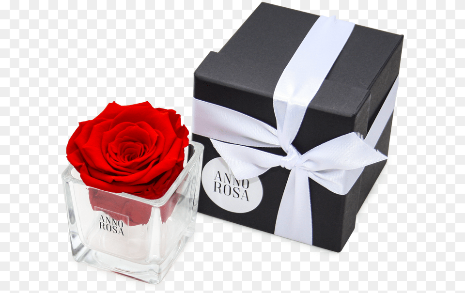Valentines Day Gift Idea Valentines Day Gift Idea Garden Roses, Flower, Plant, Rose, Box Png Image