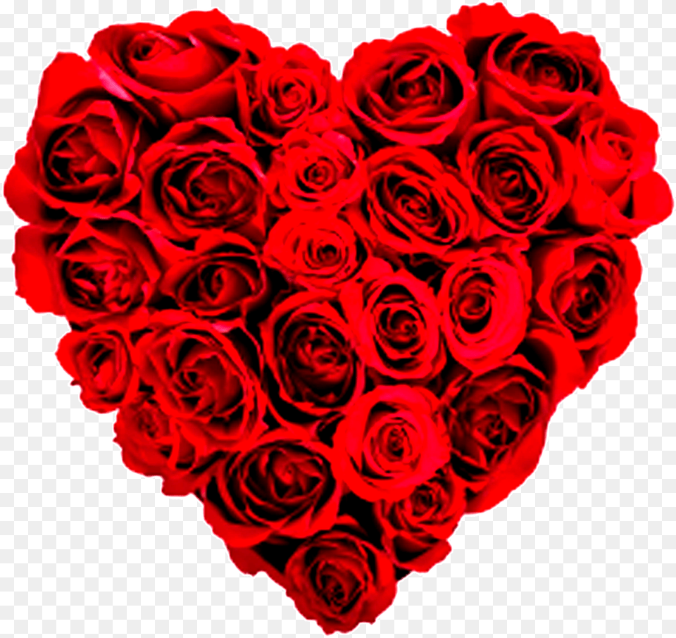 Valentines Day Heart Download Happy Valentines Day Roses, Flower, Plant, Rose, Flower Arrangement Png Image