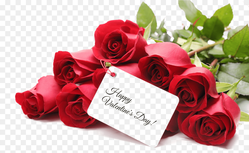 Valentines Day Image Happy Valentine Day Rose, Flower, Flower Arrangement, Flower Bouquet, Plant Free Png