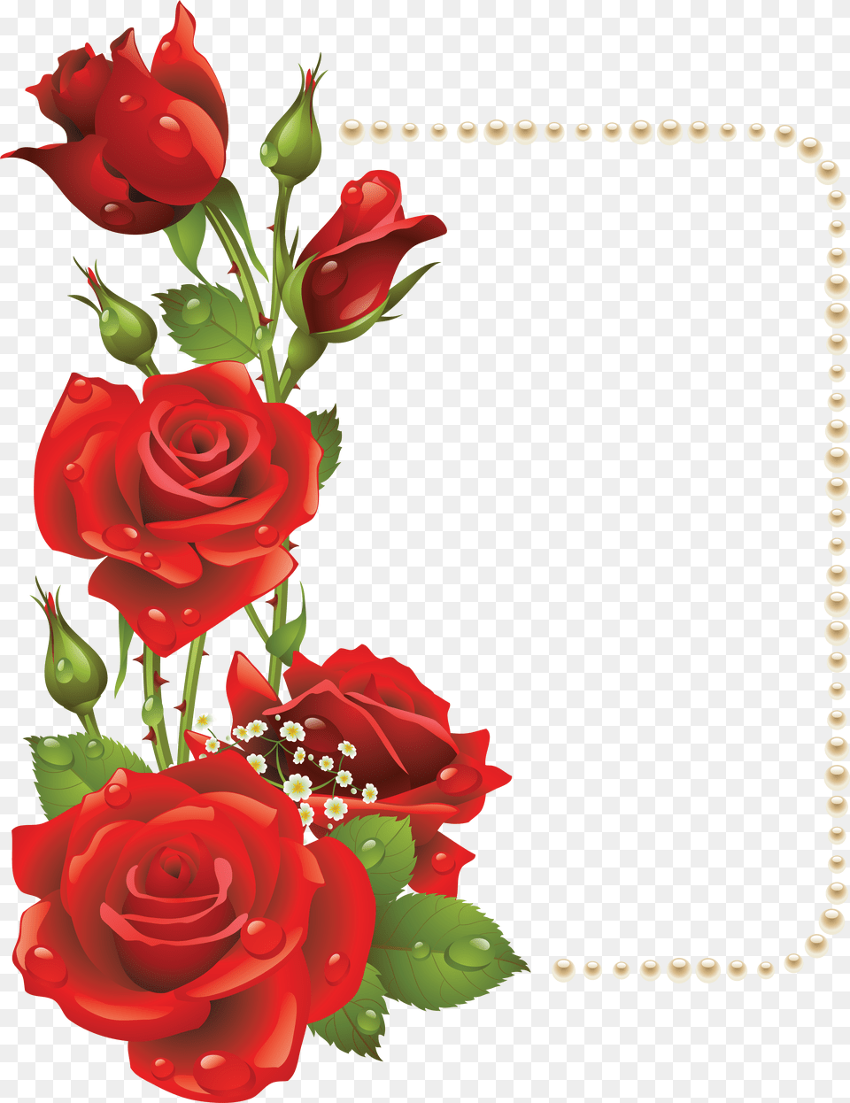 Valentines Day Roses Clipart Rose Flower Frames Design, Plant, Art, Floral Design, Graphics Png