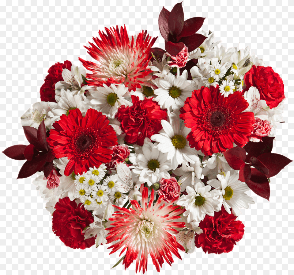 Valentines Flowers Red Carnations Spider Poms White Bouquet, Flower, Flower Arrangement, Flower Bouquet, Plant Free Png