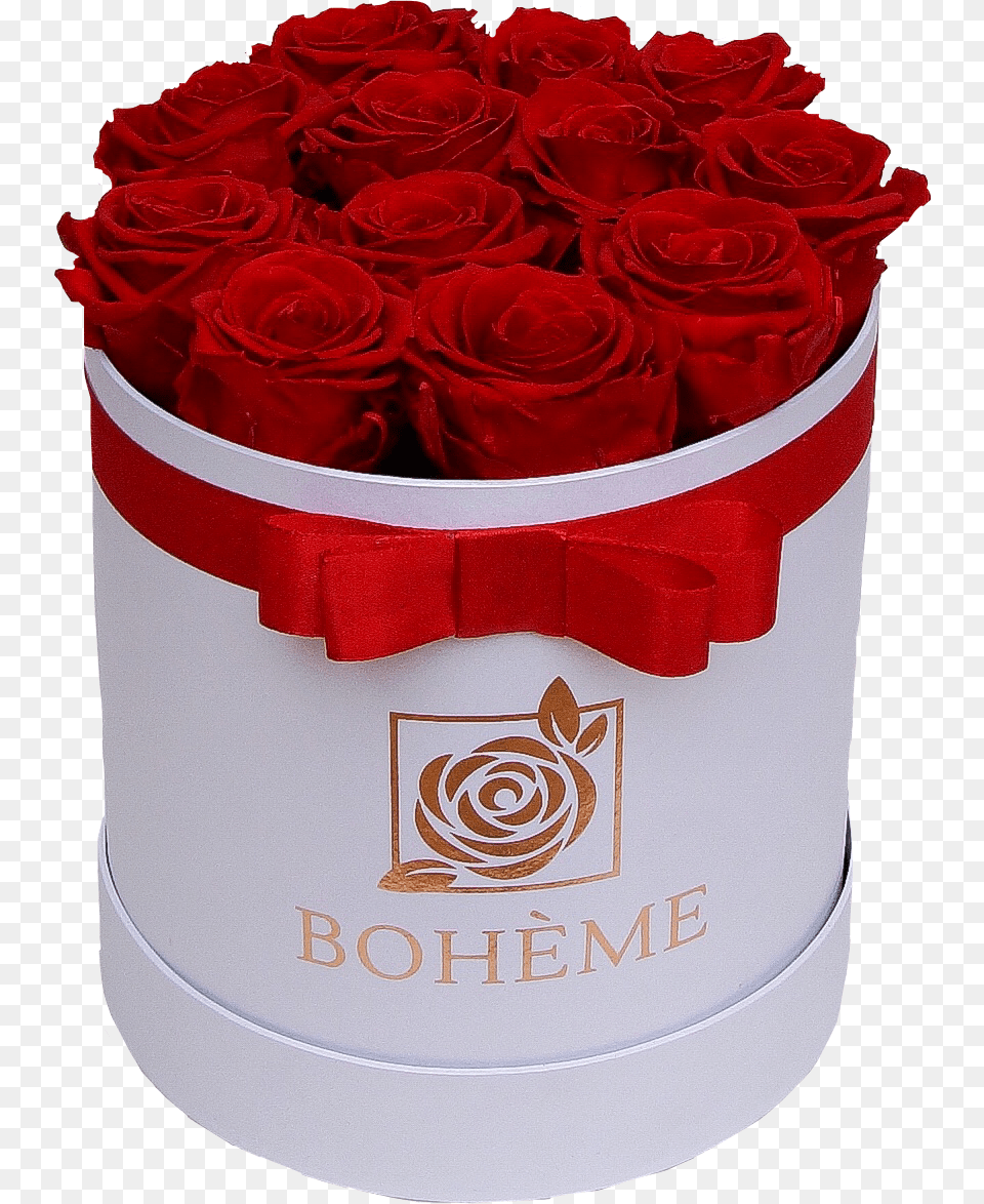 Valentinescards Roses Rose Flowers Floral Red Floribunda, Flower, Flower Arrangement, Flower Bouquet, Plant Free Png