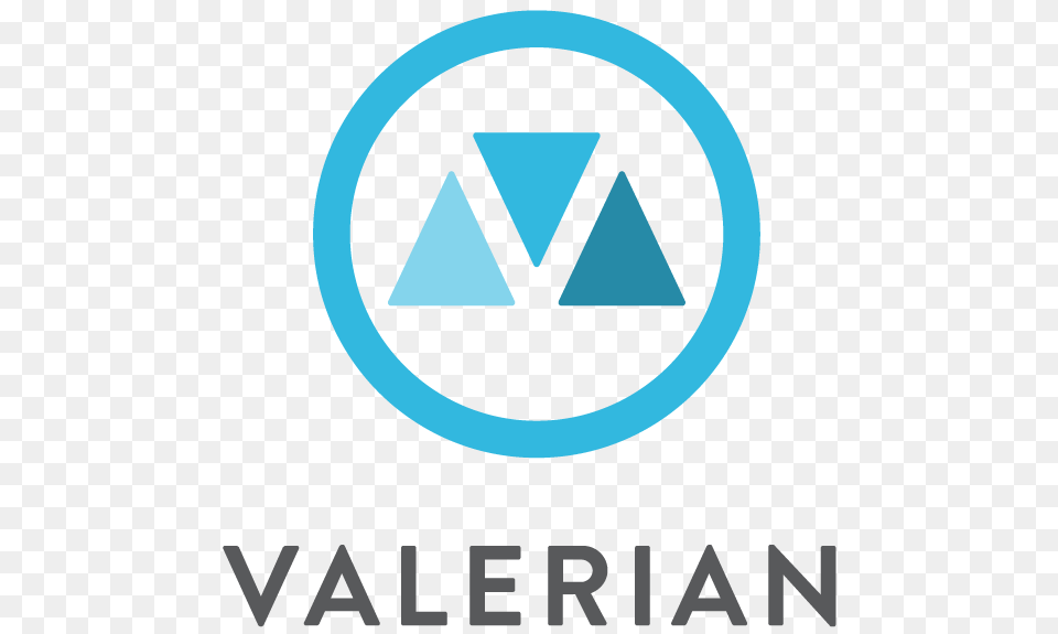 Valerian Llc New York Times, Logo Png
