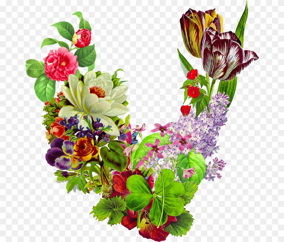 Valerie Julian Bouquet, Art, Floral Design, Flower, Flower Arrangement Free Transparent Png