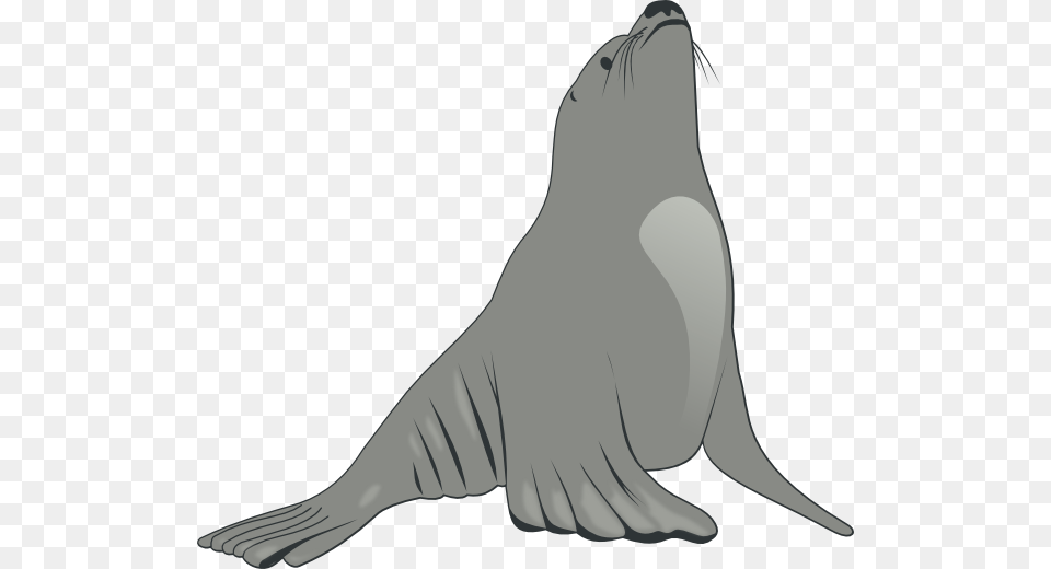 Valessiobrito Sea Lion Clip Art, Animal, Mammal, Sea Life, Sea Lion Png Image