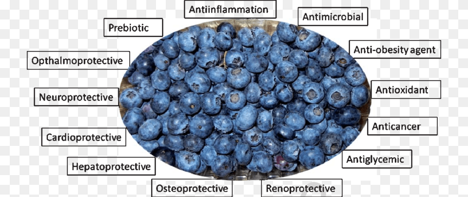 Validated Ameliorative Properties Of Blueberry Juniper Berry, Food, Fruit, Plant, Produce Free Png