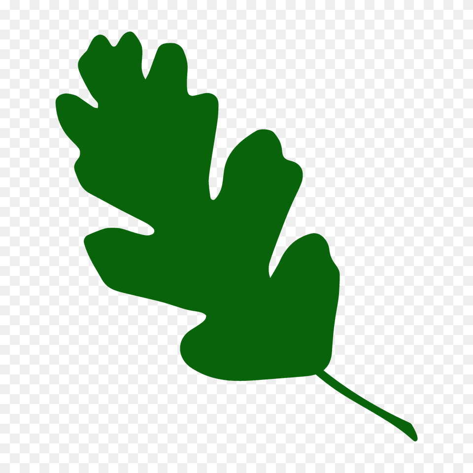 Valley Oak Leaf Silhouette, Herbs, Parsley, Plant Free Transparent Png