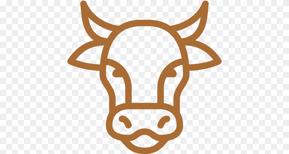 Valley Queen Cheese Muhviehstar, Snout, Animal, Bull, Mammal Free Transparent Png