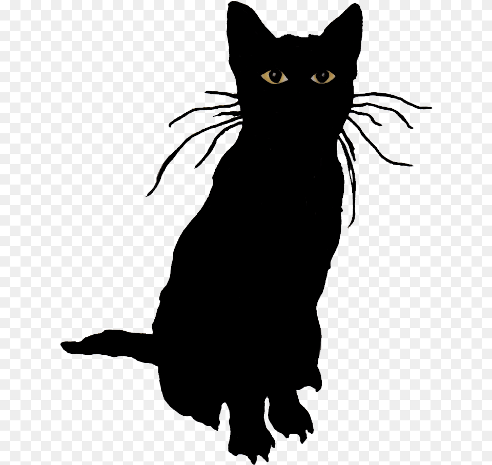 Valve Veteran And Riot Games Developer Launch Stray Black Cat, Animal, Mammal, Pet, Black Cat Free Png Download