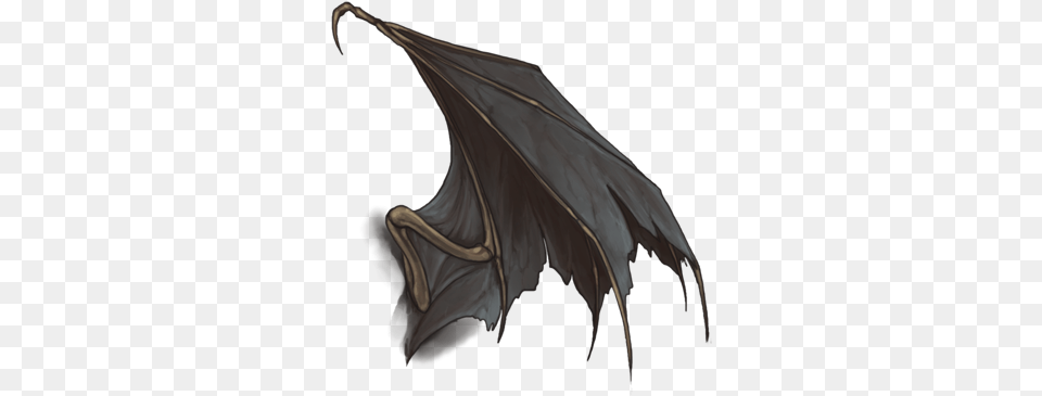 Vampire Bat, Animal, Mammal, Wildlife Png Image