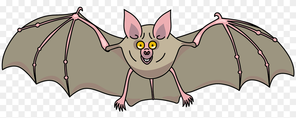 Vampire Bat Clipart, Animal, Mammal, Wildlife, Kangaroo Png Image