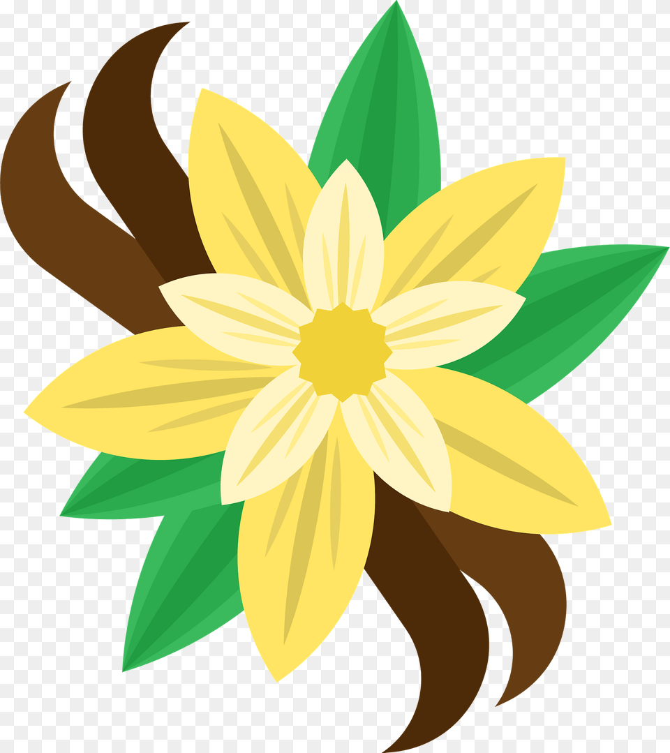 Vanilla Flower Clipart, Daffodil, Plant, Art, Daisy Png Image