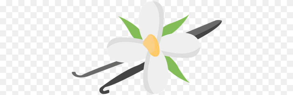 Vanilla Flower Icon Of Flat Style Vanilla Flower Icon, Anemone, Plant, Anther, Petal Png Image