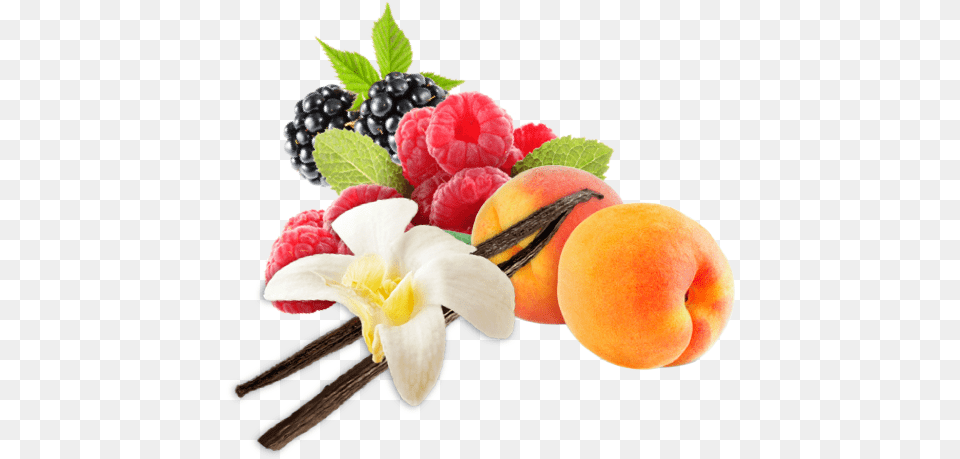 Vanilla Flower Mousse Frutti Di Bosco, Berry, Food, Fruit, Plant Free Transparent Png
