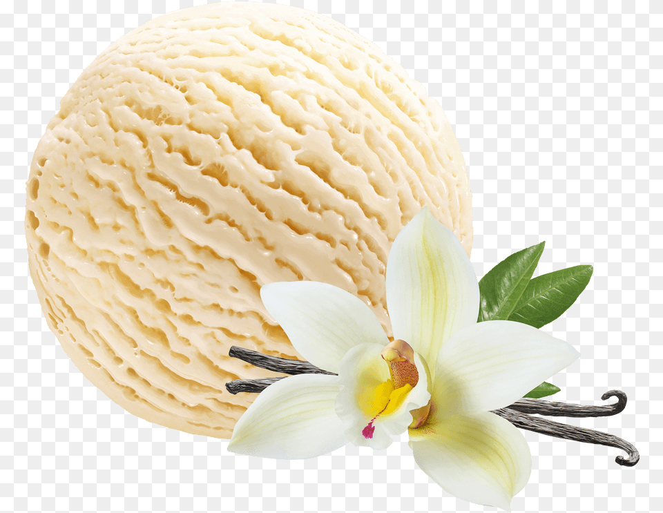 Vanilla Ice Cream 5000ml Ice Cream Container, Dessert, Food, Ice Cream, Flower Png Image