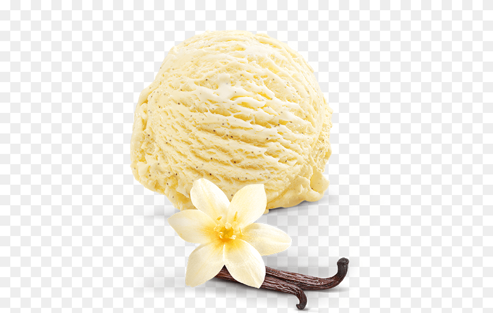 Vanilla Ice Cream Pic All Artificial Flower, Dessert, Food, Ice Cream Png