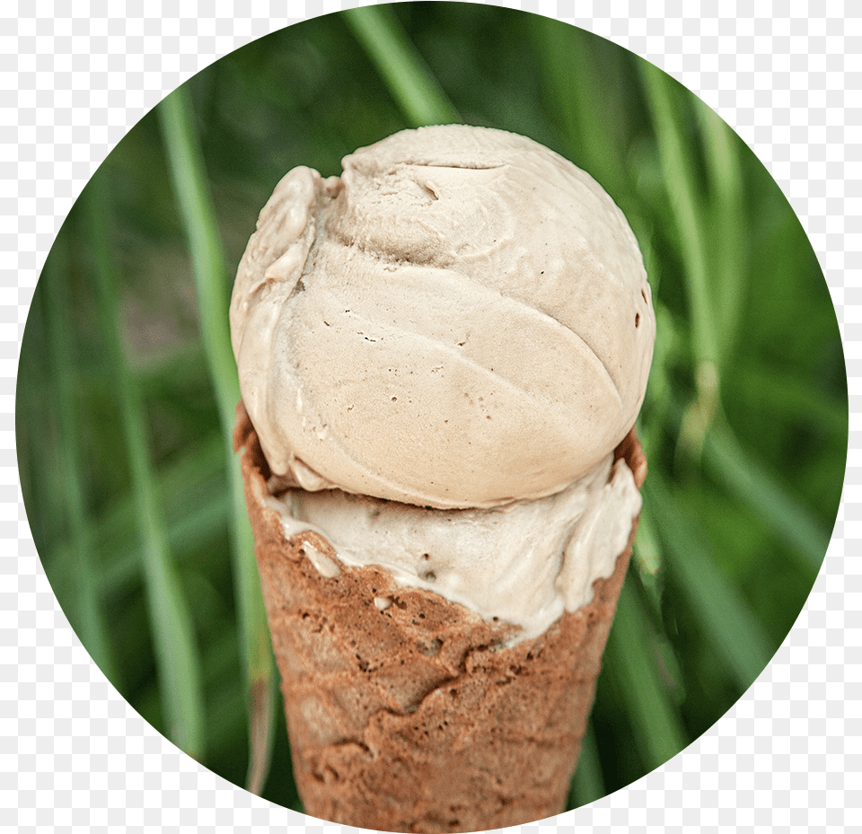 Vanilla Ice Cream Soy Ice Cream, Dessert, Food, Ice Cream, Soft Serve Ice Cream Free Png Download