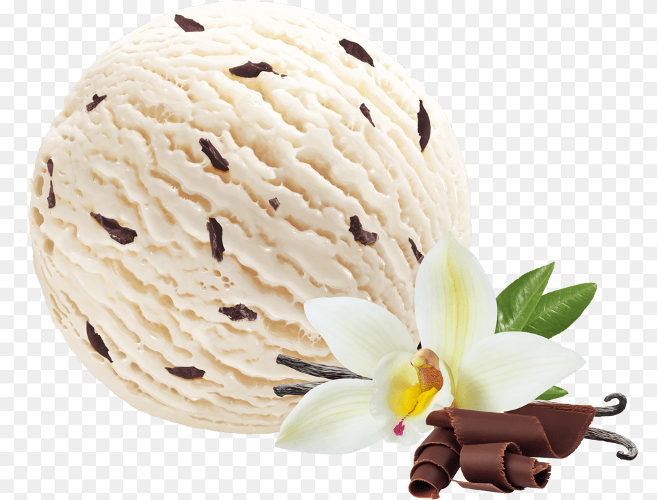 Vanilla Ice Cream With Chocolate Chips Vanilla Ice Cream With Choc Chips, Dessert, Food, Ice Cream, Soft Serve Ice Cream Free Transparent Png