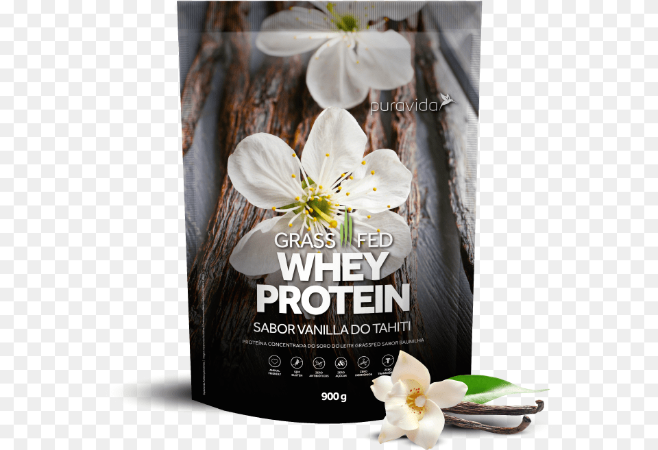 Vanilla Proteina Pura Vida, Advertisement, Poster, Flower, Plant Png