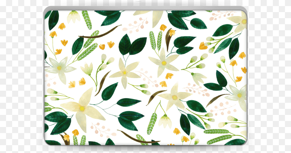 Vanilla Skin Laptop Jasmine, Art, Floral Design, Graphics, Pattern Free Png Download